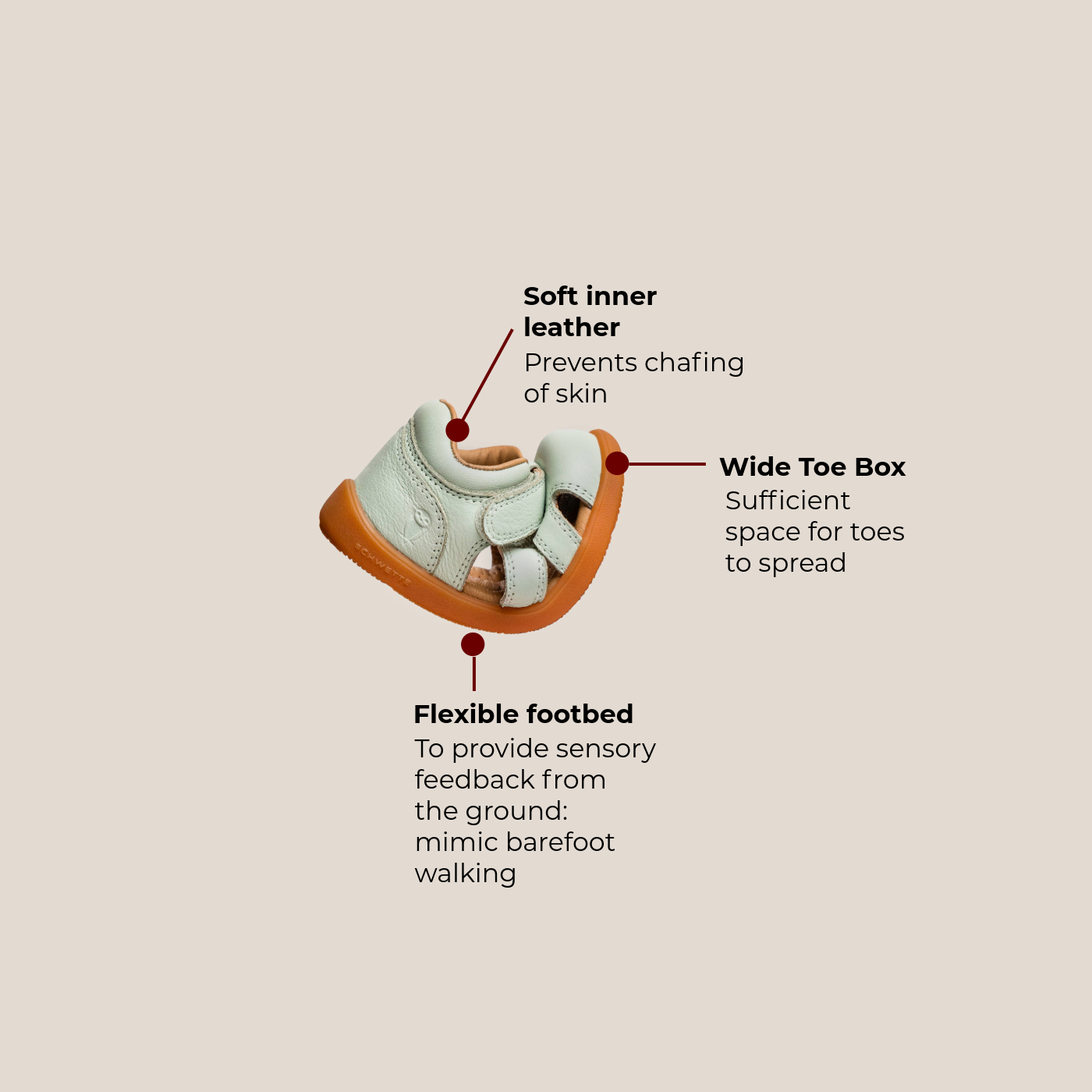 What to Look for in First Walker Shoes: A Podiatrist-Backed Guide